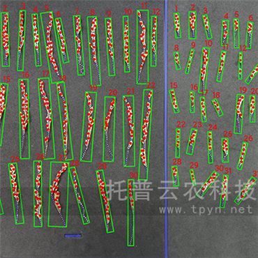 水稻整穗考種儀